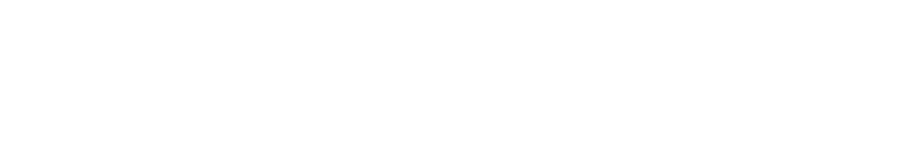 BuildSurely